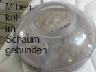 Matratzenreinigung zur Milbenbekämpfung Traum vs. Alptraum